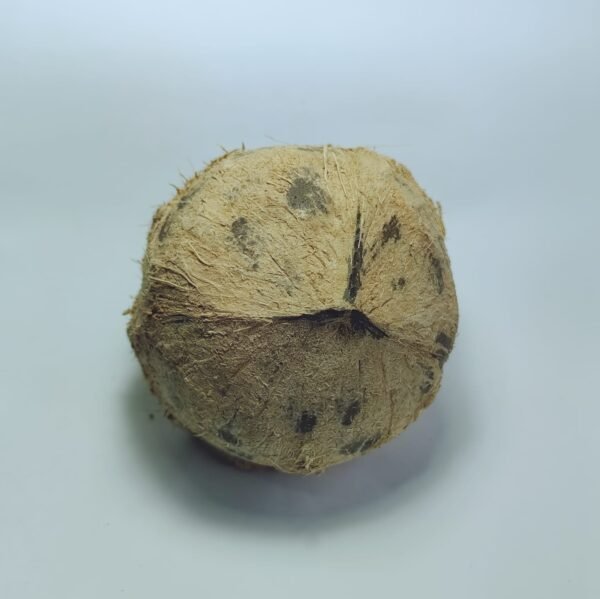 Coco