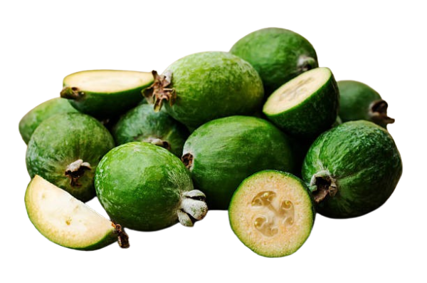 Feijoa