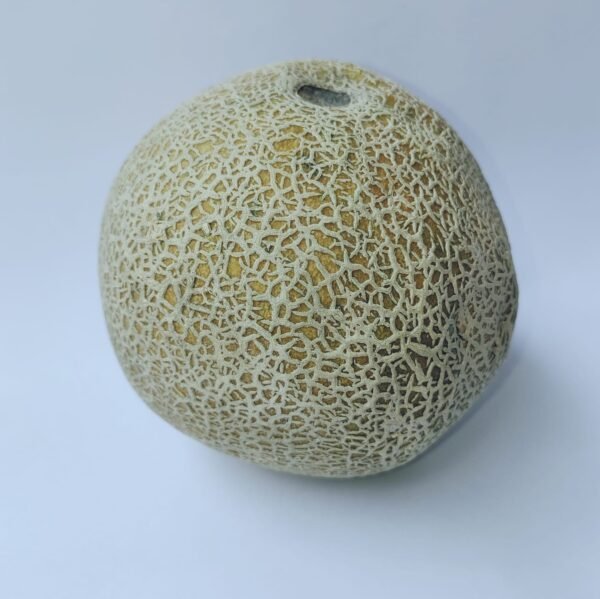 Melón