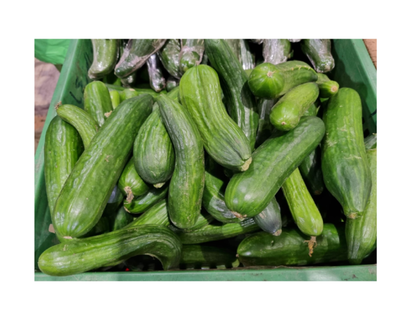 Pepino